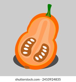 illustration of a pumpkin isolated on grey background