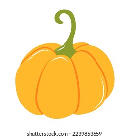 illustration of pumpkin on a white background. vector illustration