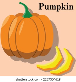 illustration of Pumpkin, slice of pumpkin for teacher, student , college, banner, flyer, power point, and another comercial use