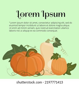 Illustration with pumpkin and text. Set of pumpkin