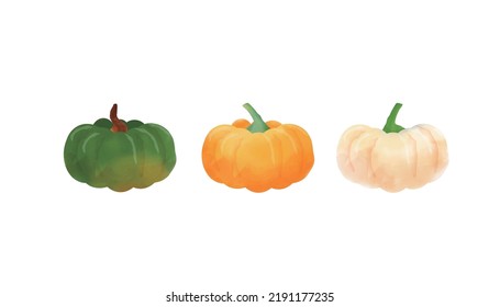 Illustration of pumpkin in three colors