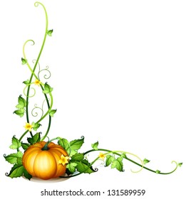 Illustration Of A Pumpkin Vine Decor On A White Background