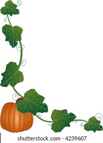 an illustration of a pumpkin and vine frame