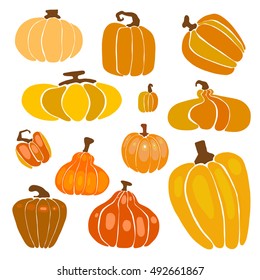  illustration with pumpkins, vector 