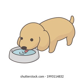 The illustration of a puppy drinking water. 