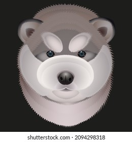 illustration of a puppy malamute dog head on a black background