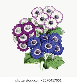 Illustration of purple and blue flowers with green leaves. The flowers are vibrant and detailed, showcasing purple and blue petals. Green leaves complement the flowers. Vintage illustration, vector.