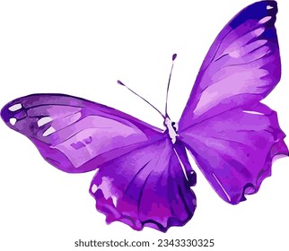 Illustration of purple butterflies, watercolor touch