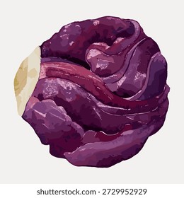 Illustration of a purple cabbage. Purple cabbage with vibrant hues. Detailed cabbage design, showcasing purple shades. Artistic representation of purple cabbage. Vintage vegetable illustration vector.