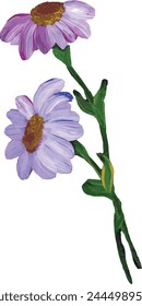 Illustration of Purple Cosmos Flowers