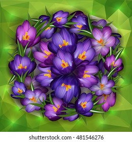 Illustration of purple crocus flowers with triangle background
