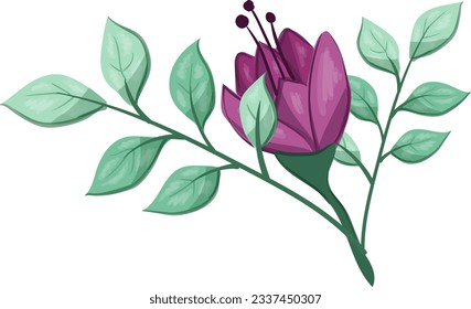 Illustration of a Purple Flower with Green Leaves on a White Background.