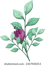 Illustration of a Purple Flower with Green Leaves on a White Background.