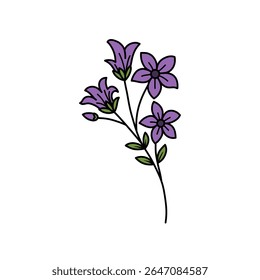 Illustration of purple flowers with black outlines and green leaves on a white background. The flowers are stylized and simple.