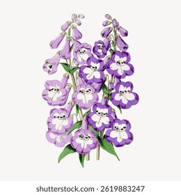 Illustration of purple flowers with green leaves. The flowers are bell-shaped with intricate details. Purple flowers are arranged in a cluster. Botanical art. Vintage flower illustration vector.