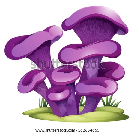 Illustration of a purple fungi on a white background Stock photo © 