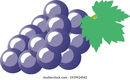 An Illustration of purple grape