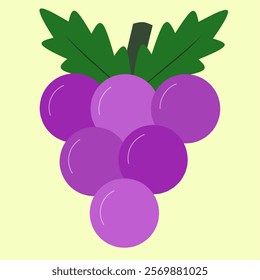 Illustration of purple grapes fruit with leaves. The Vitaceae, Vitis vinifera, Viticulture are a family of flowering plants and botanically a berry.