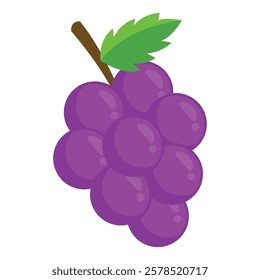 Illustration of Purple Grapes with Leaf