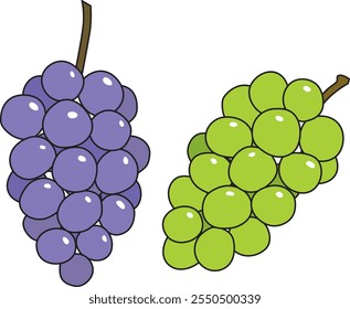 
Ilustración de uvas moradas y verdes.  Con contorno.