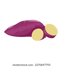 Illustration of a purple sweet potato