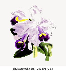 Illustration of a purple and white orchid with green leaves. The orchid features delicate petals and vibrant colors, showcasing the beauty of orchid flowers. Vintage flower illustration vector.