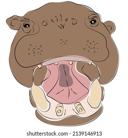 Illustration of pygmy hippopotamus. Pygmy hippopotamus is smaller cousins of the hippopotamus