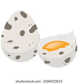 Illustration of Quail Eggs and Yolk