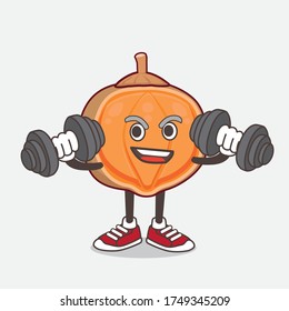 An illustration of Quararibea Cordata cartoon mascot character on fitness exercise using barbells