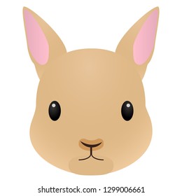 Illustration of the rabbit