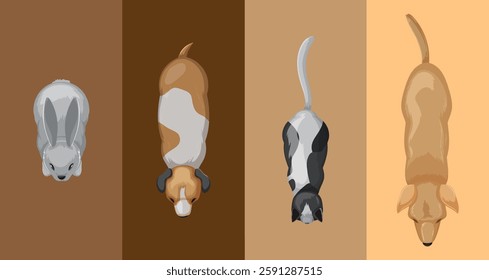 Illustration of rabbit, dogs, and cat from above