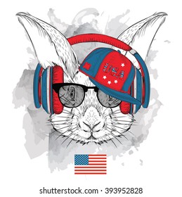 Illustration of rabbit in the glasses, headphones and in hip-hop hat with print of USA. Vector illustration.