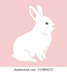 Illustration Rabbit Looking Right Vector Illustration Stock Vector ...