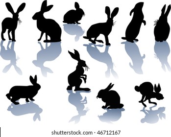 illustration with rabbit silhouette collection isolated on white background