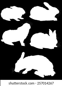 ilustración con colección de siluetas de conejo aisladas en fondo negro