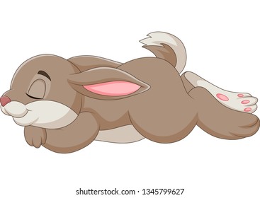 Illustration of rabbit sleeping isolated on white background