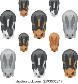 Illustration of rabbits arranged in a symmetrical design