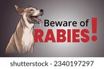 illustration of rabies warning in dogs