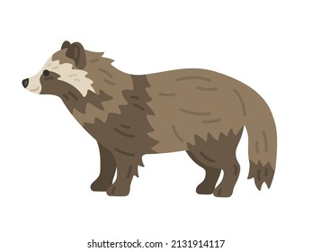 Illustration of a raccoon dog seen from the side.