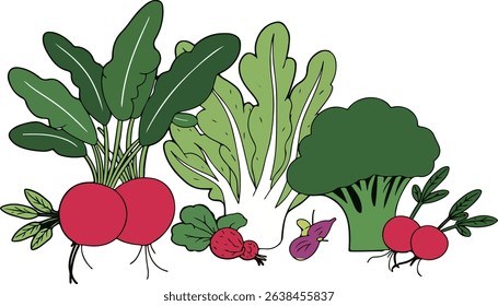 Illustration of radishes, lettuce, broccoli, and other vegetables, showcasing a colorful and healthy assortment of produce.
