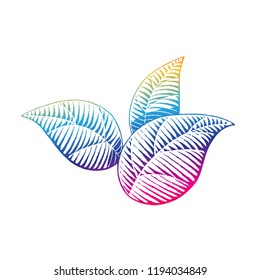 Ilustración de un boceto de tinta de color arcoiris vectorizado de hojas aisladas en un fondo blanco