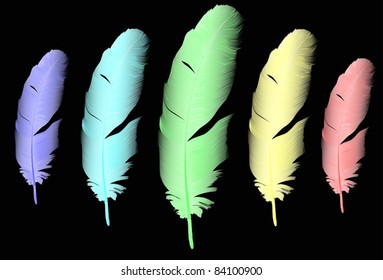 illustration with rainbow feathers isolated on black background