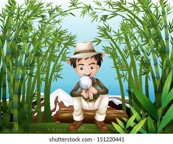 Illustration of a rainforest with a man holding a magnifying lens