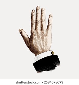 Illustration of a raised hand in a suit sleeve, palm facing forward. Vintage style hand drawing. Hand gesture in classic art style. Formal attire. Vintage art illustration, vector.