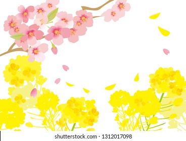 菜の花 桜 のイラスト素材 画像 ベクター画像 Shutterstock