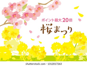 Illustration of rape flower and cherry tree in Japan(It is written as Sakura Festival)