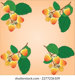 illustration with raspberry branches on bright backround
