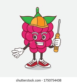 An illustration of Raspberry Fruit cartoon mascot character as smart technician