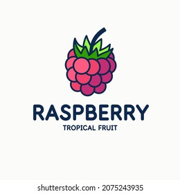 Illustration of a raspberry in a modern style. Isolated image on a light background. Vector icon.