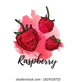 ilustración de frambuesa. Fondo de salpicadura de la acuarela vectorial. Berry de gráficos para cócteles, diseño de zumos naturales. Etiqueta de alimento orgánico natural
